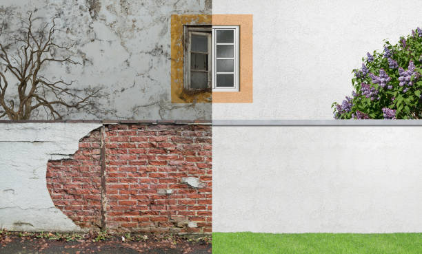 Best Mold Damage Restoration  in Kersey, CO